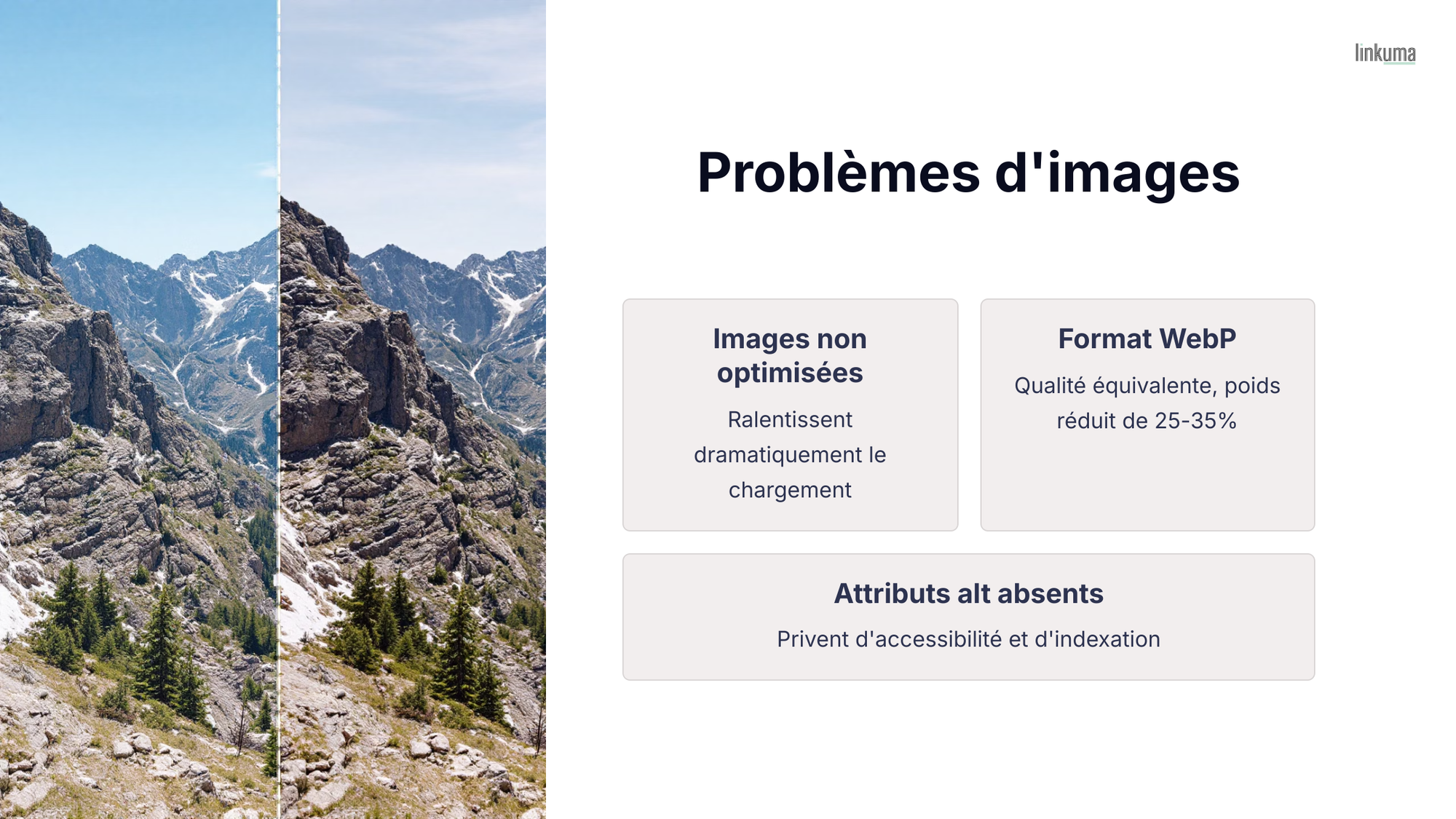 Une infographie qui illustre les problèmes d'image que l'on peut avoir par rapport à son référencement on-site